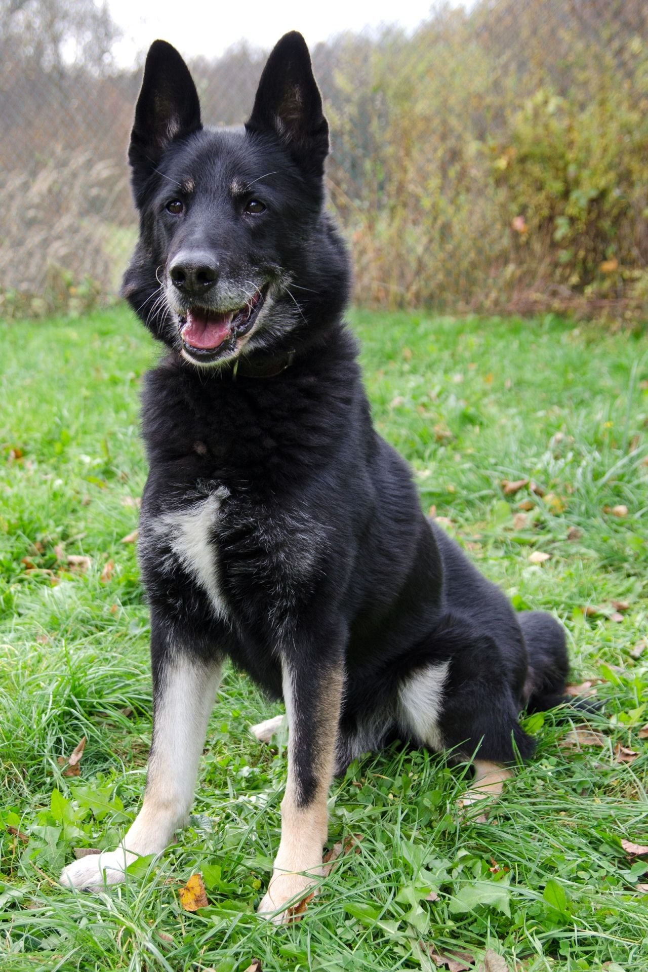 C%C3%A9zar-men%C5%A1%C3%AD