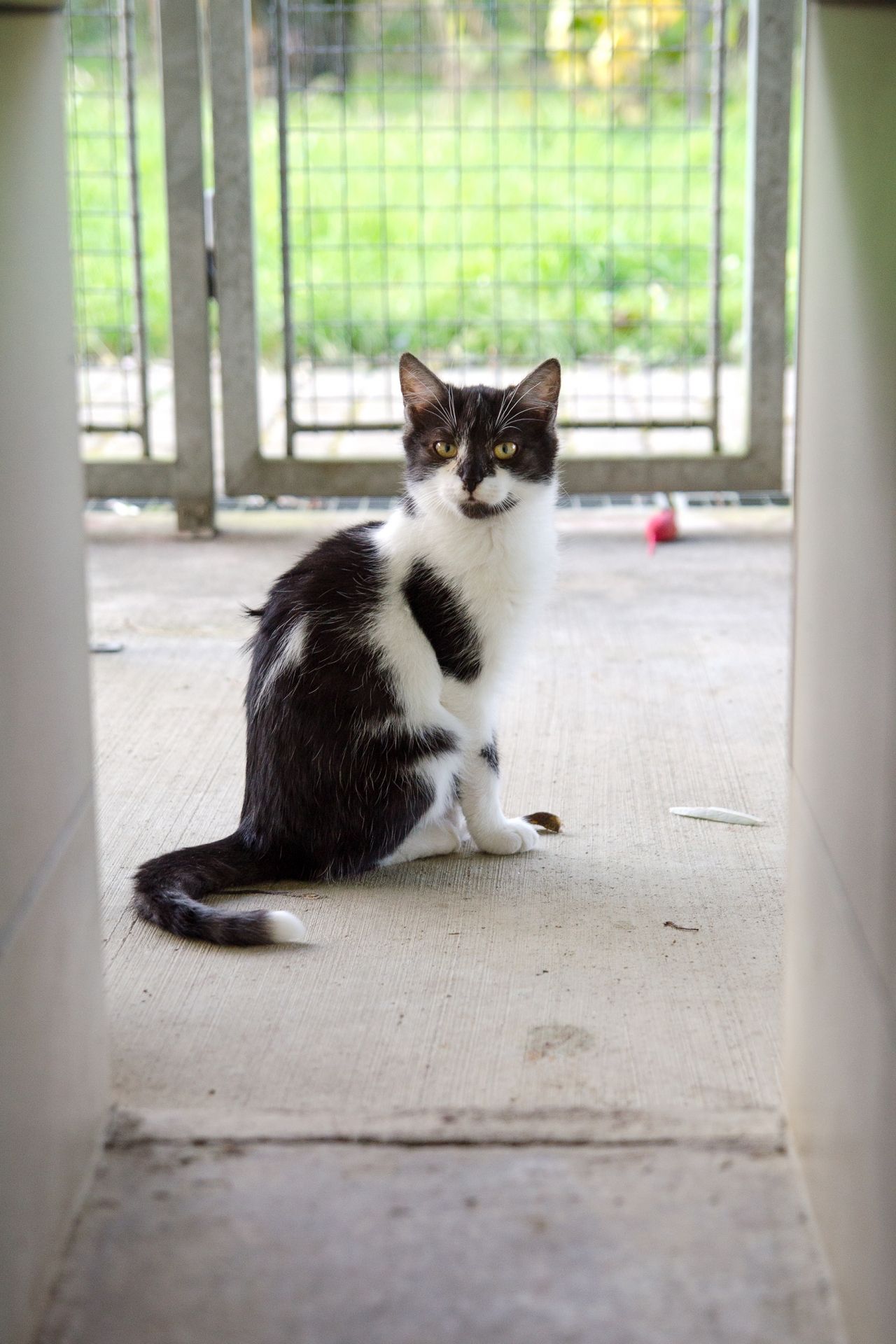 DSC_0303men%C5%A1%C3%AD