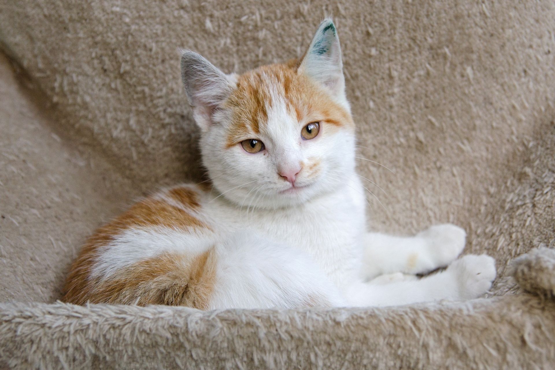 DSC_0317men%C5%A1%C3%AD