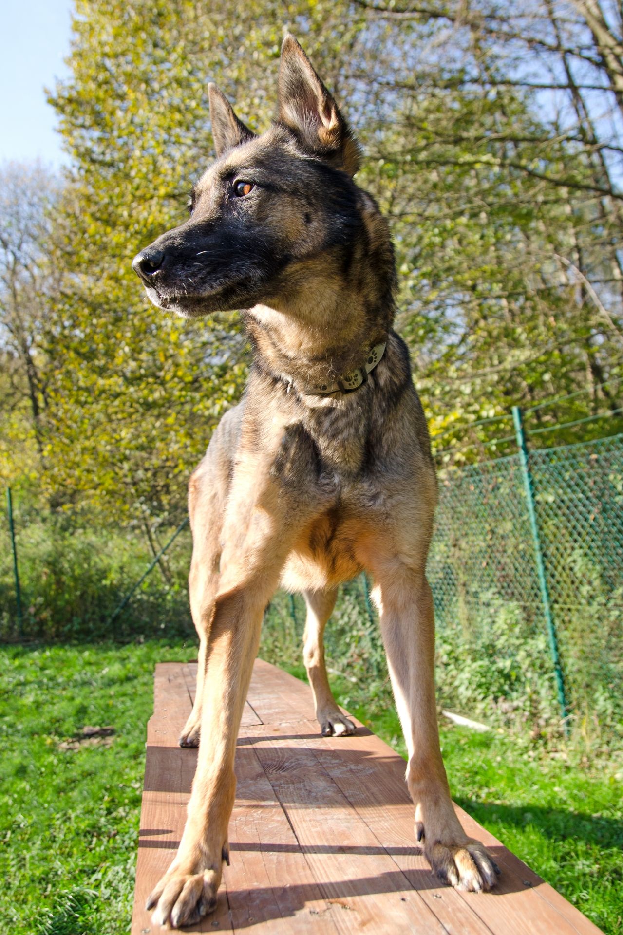 Karina-men%C5%A1%C3%AD