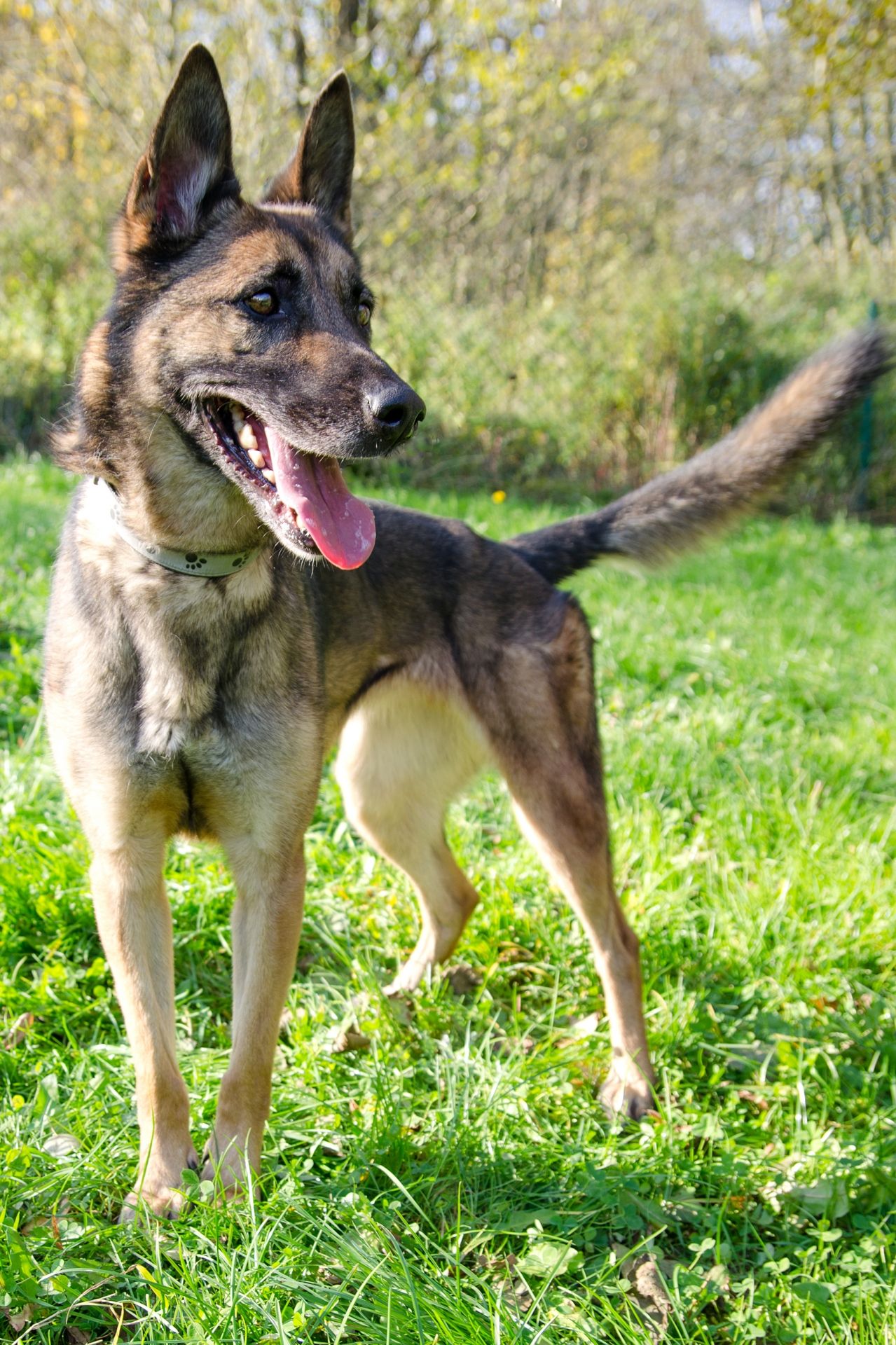 Karina3-men%C5%A1%C3%AD