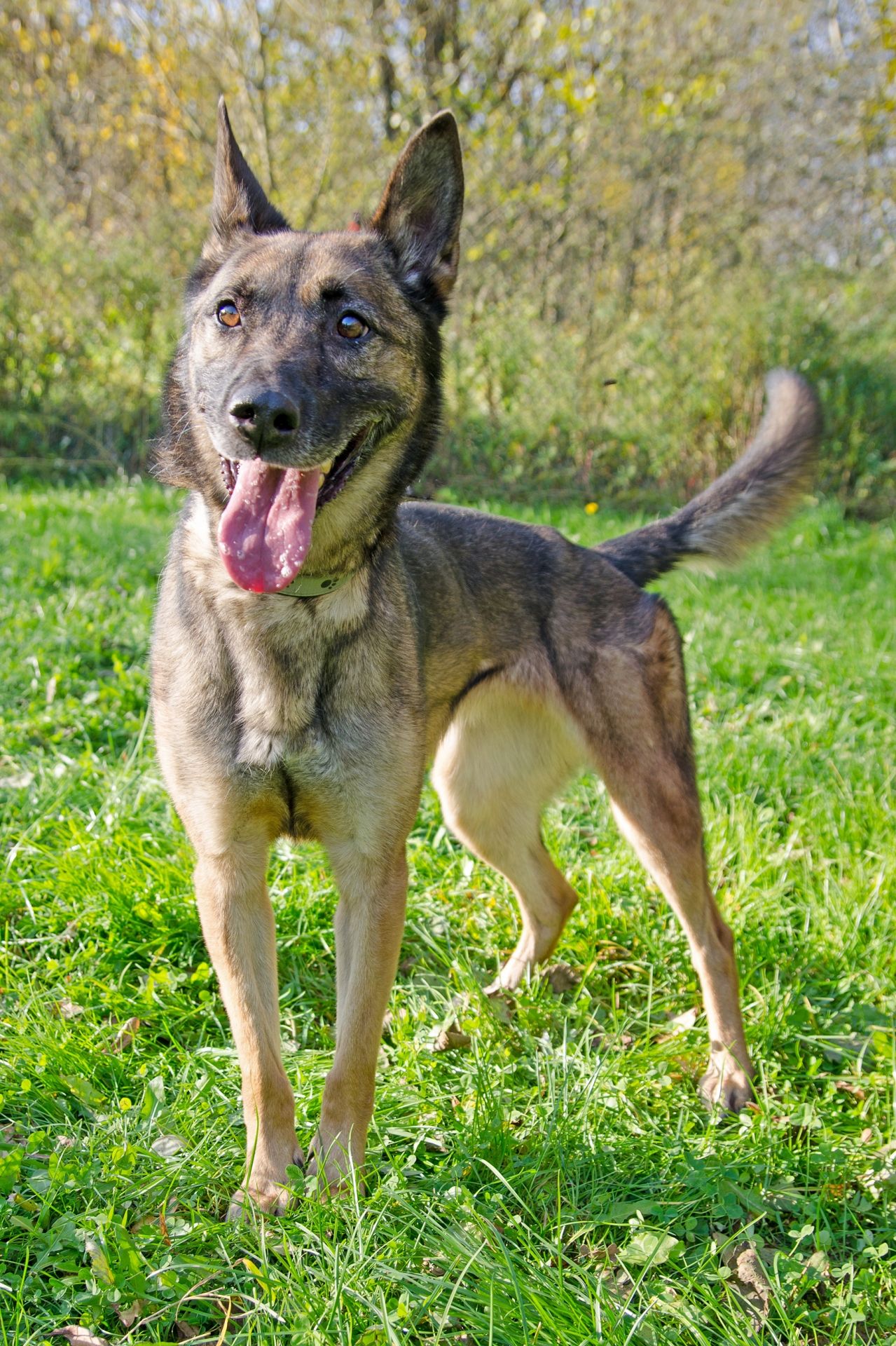 Karina4-men%C5%A1%C3%AD