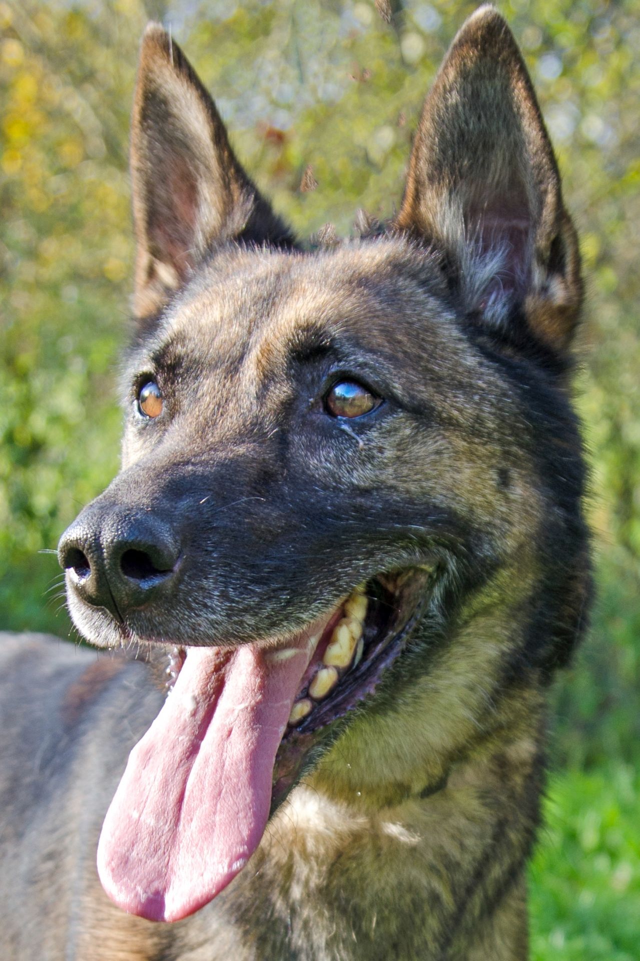 Karina5-pouze%20men%C5%A1%C3%AD