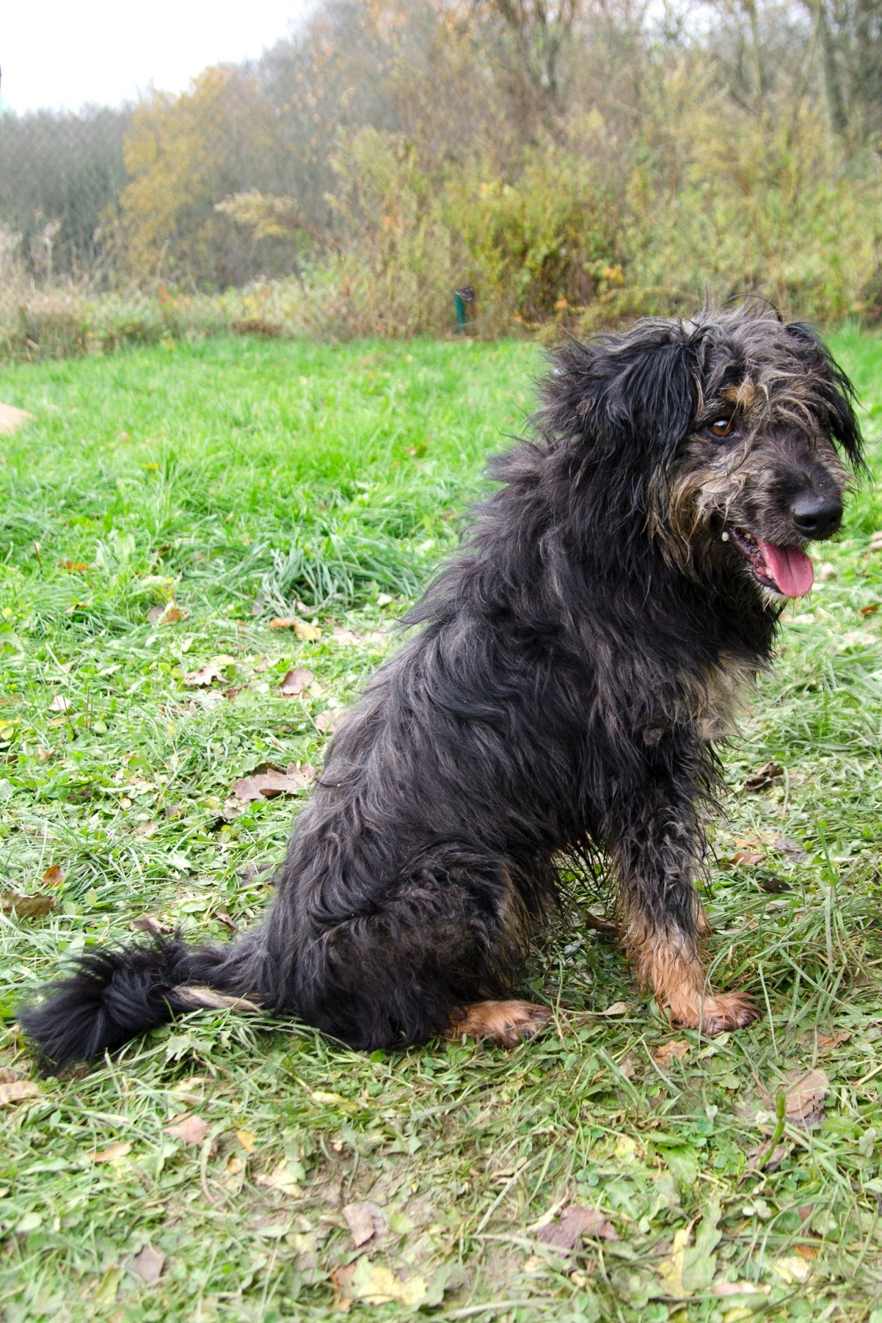 Laky-2-men%C5%A1%C3%AD