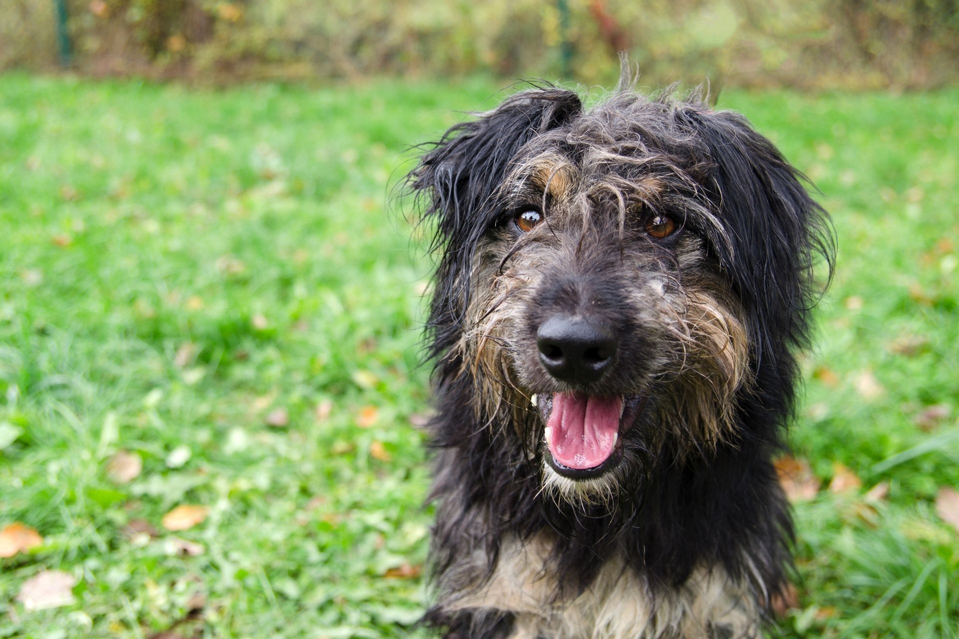 Laky-men%C5%A1%C3%AD