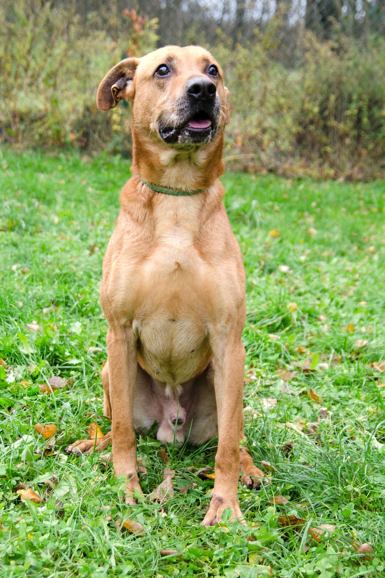 Rody-2-men%C5%A1%C3%AD