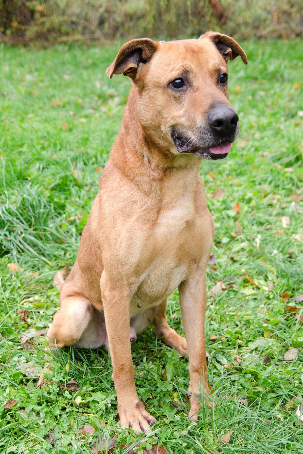 Rody-3-men%C5%A1%C3%AD