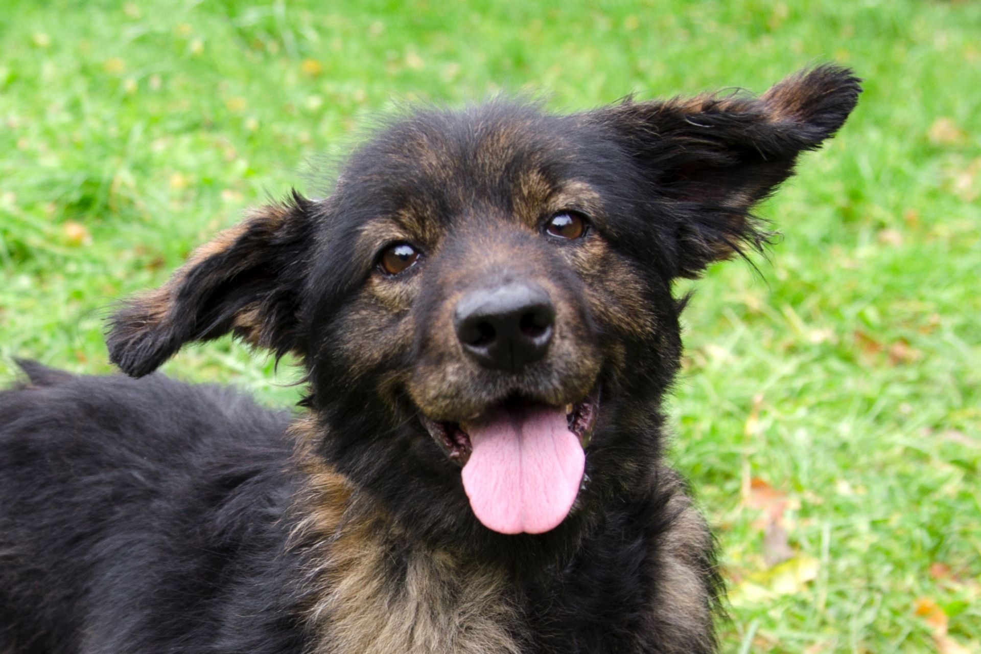 S%C3%A1ra-3-pouze%20men%C5%A1%C3%AD