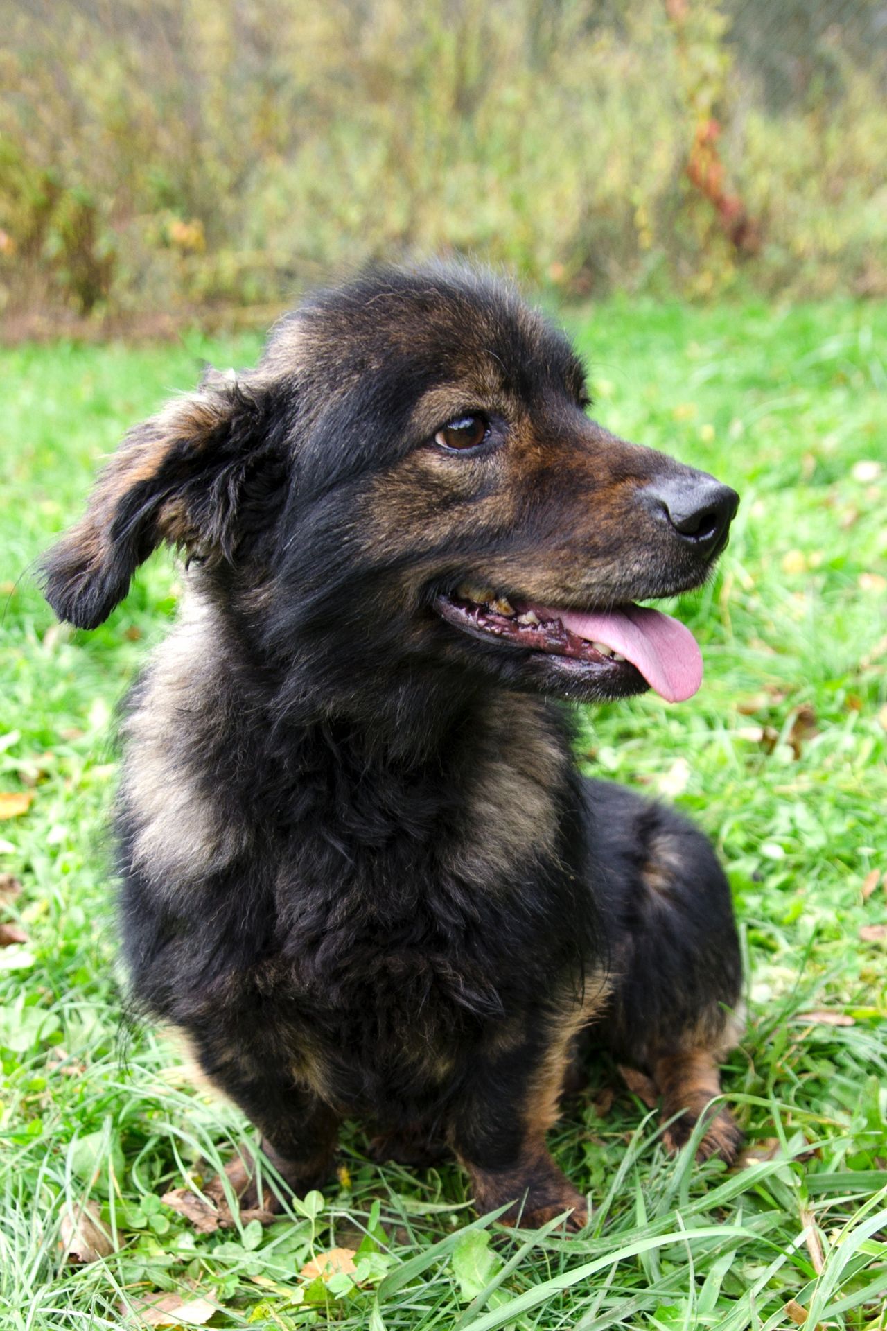 S%C3%A1ra-4-men%C5%A1%C3%AD