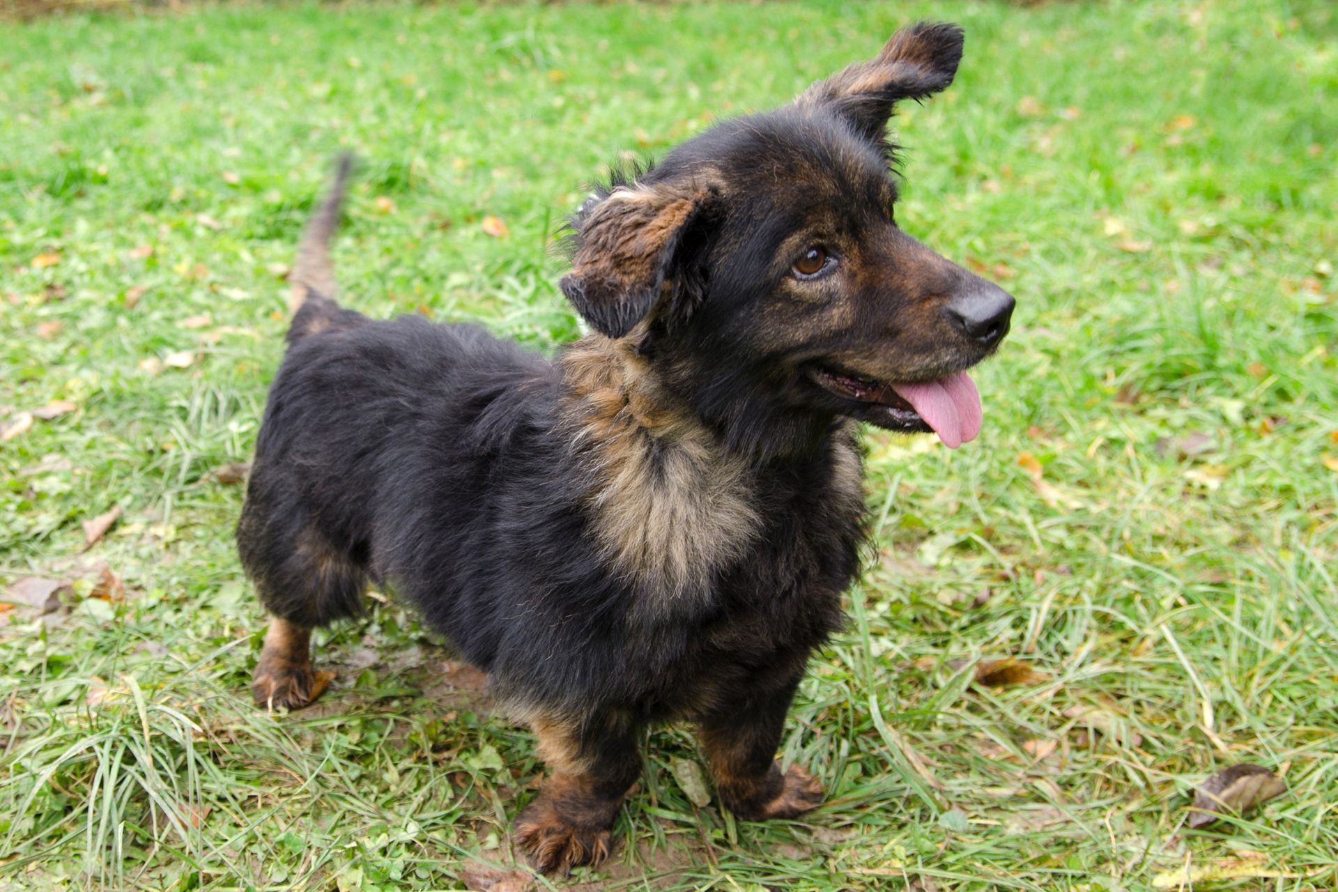 S%C3%A1ra-men%C5%A1%C3%AD