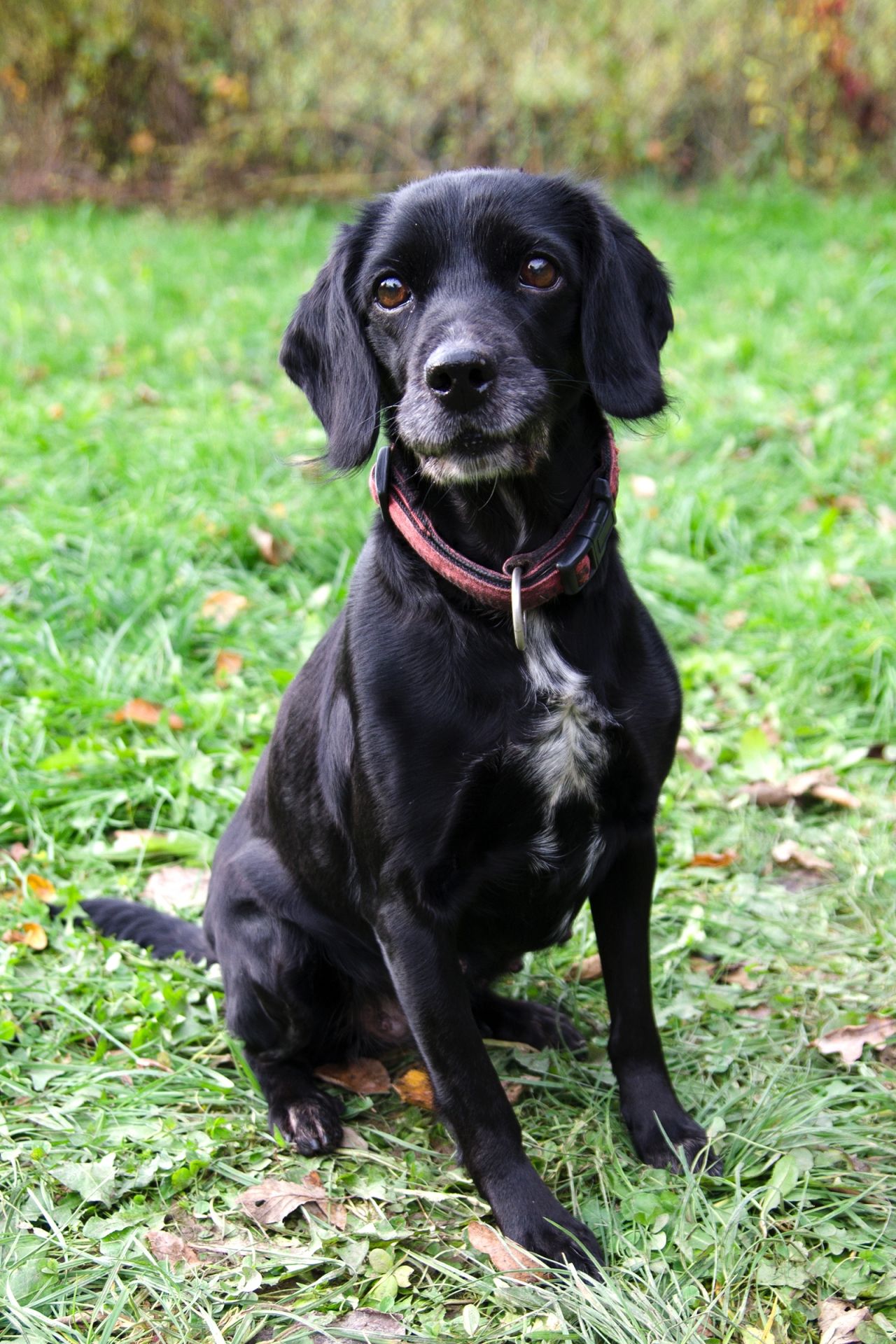 Sany-3-men%C5%A1%C3%AD